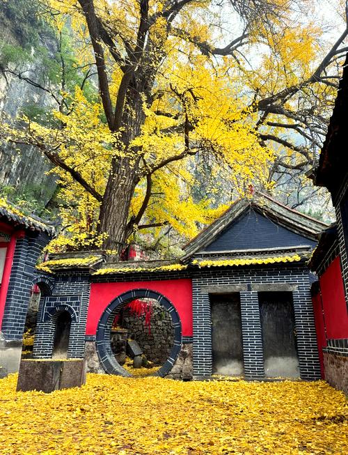 淄博旅游景点大全免费开放