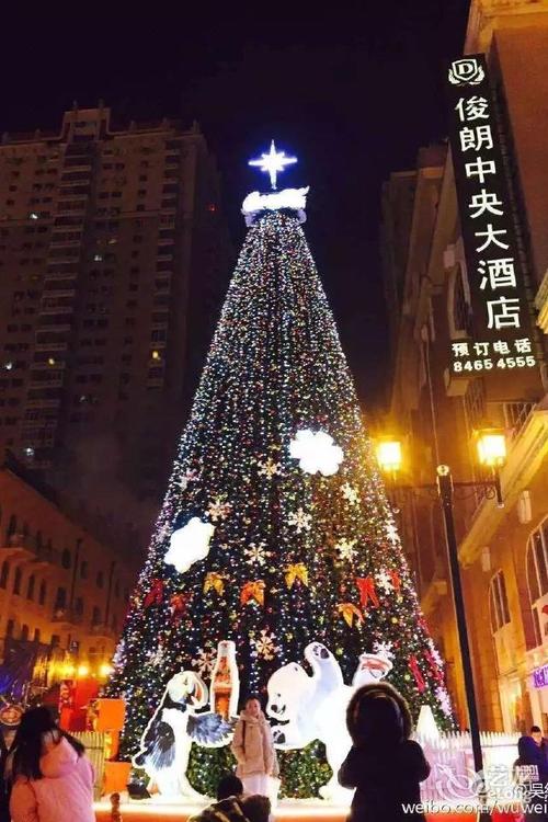 哈尔滨俊朗中央大酒店