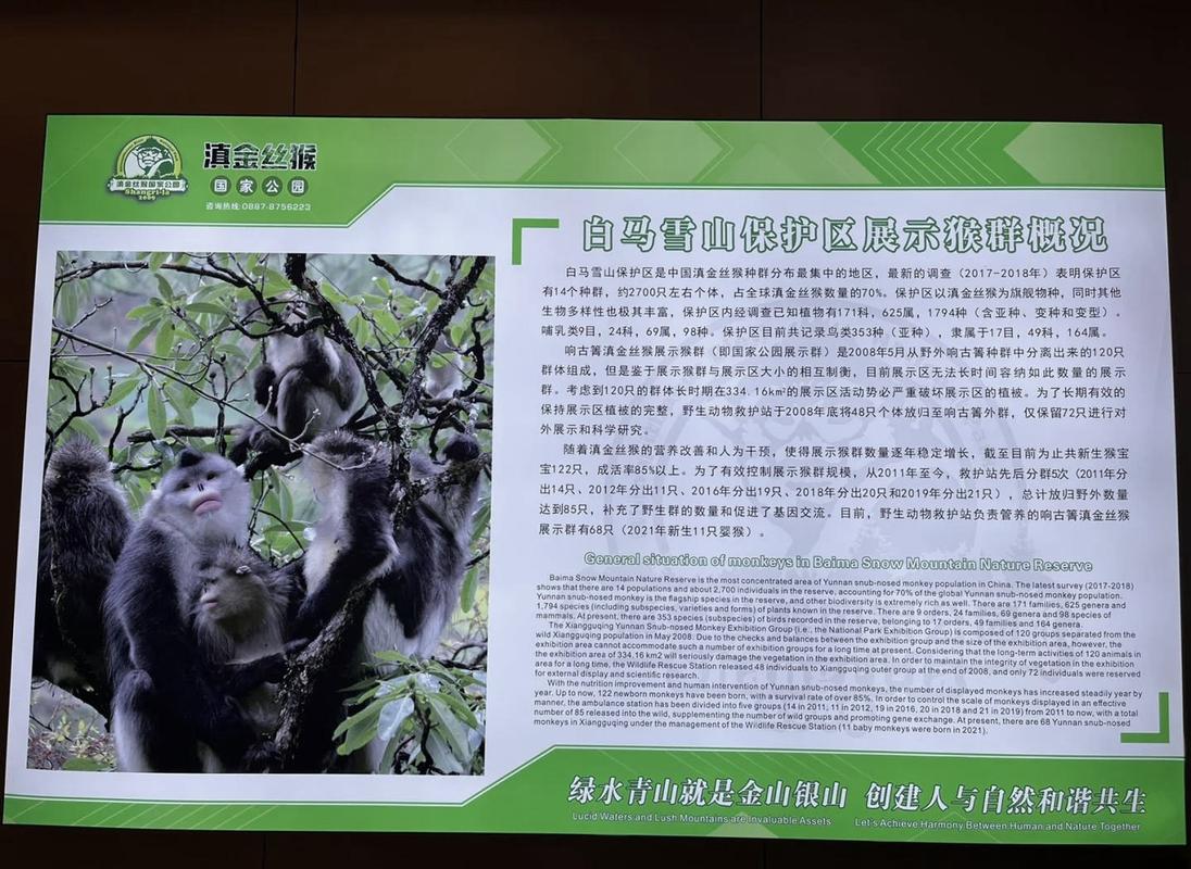 滇金丝猴公园自驾游团购