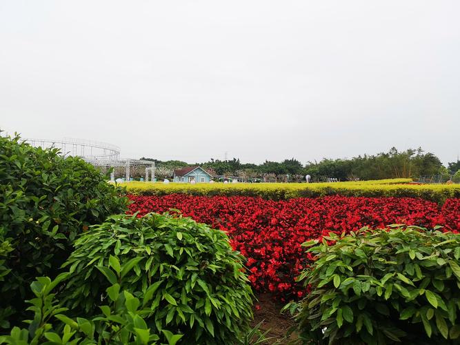 番禺百万葵园二日自驾游