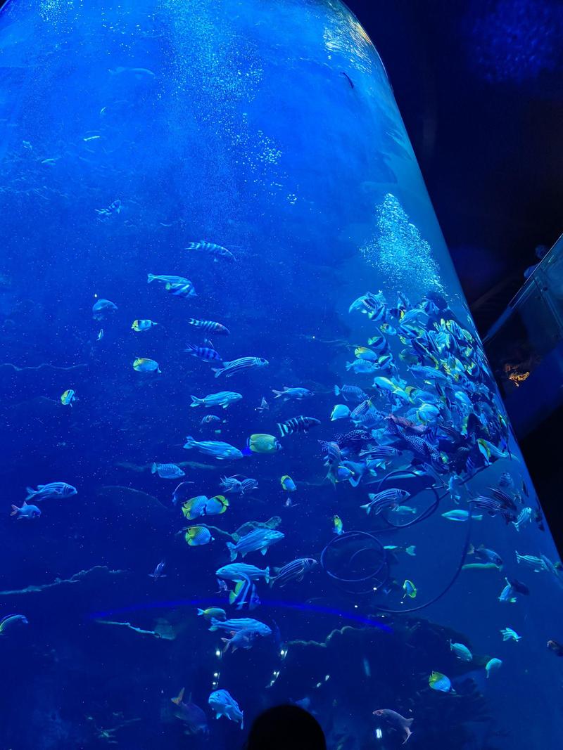 青岛海底世界二日自驾游