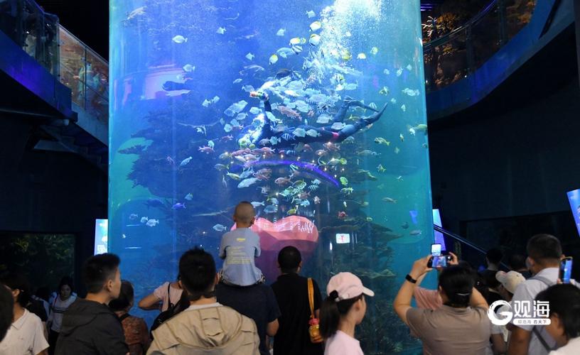 青岛海底世界二日自驾游