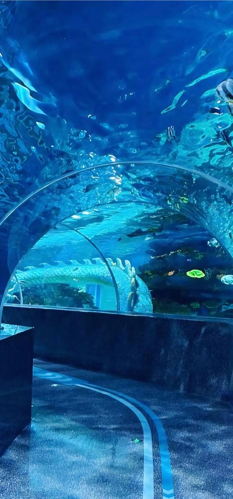 青岛海底世界自驾游二日