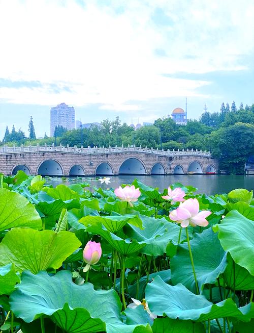 江苏南通旅游必去十大景点