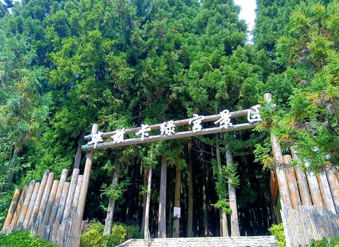 石柱黄水森林公园自驾游