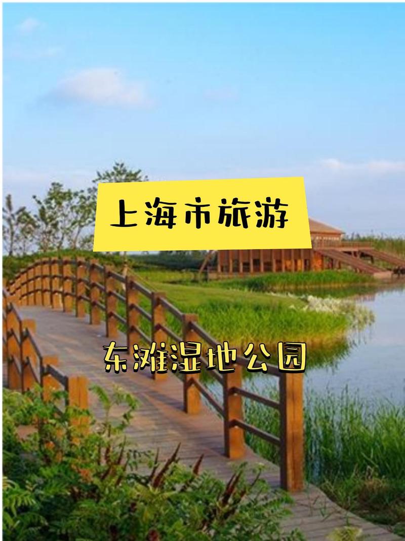 东滩湿地公园自驾游团购