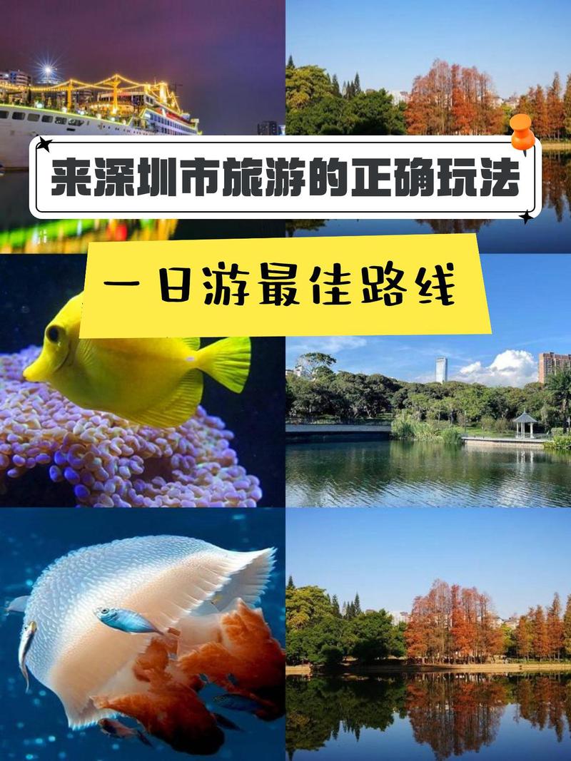 从深圳出发的自驾游攻略