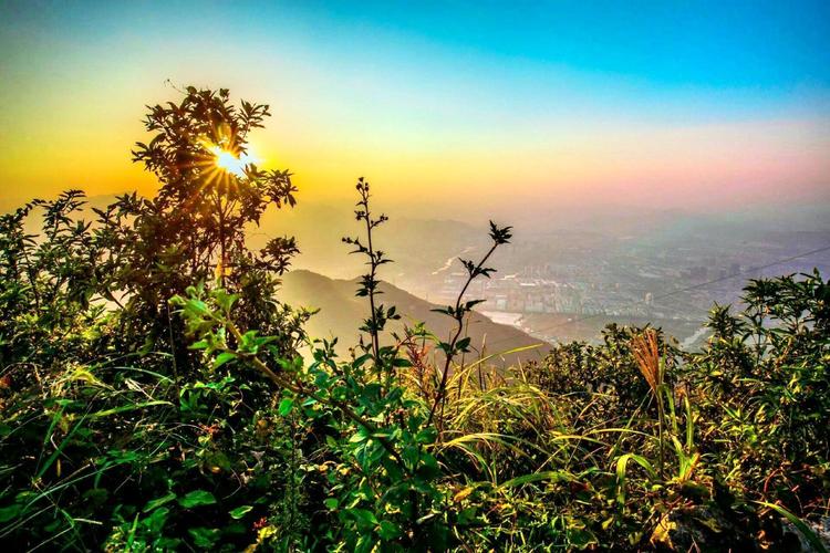 吹台山森林公园有哪些景点