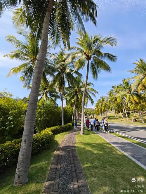 2025春节海南自驾游