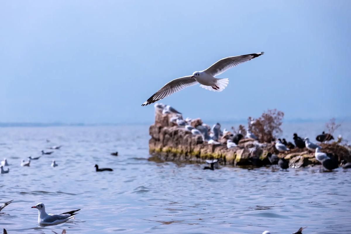 2025云南春节自驾游