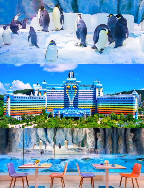 珠海海洋王国企鹅酒店