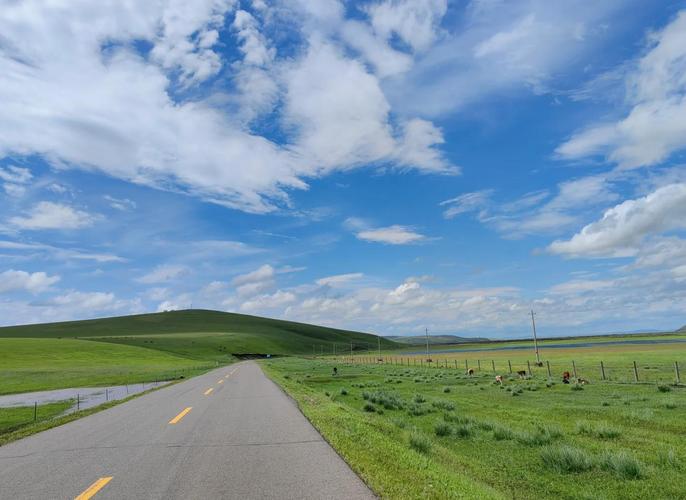 北京呼伦贝尔草原自驾游