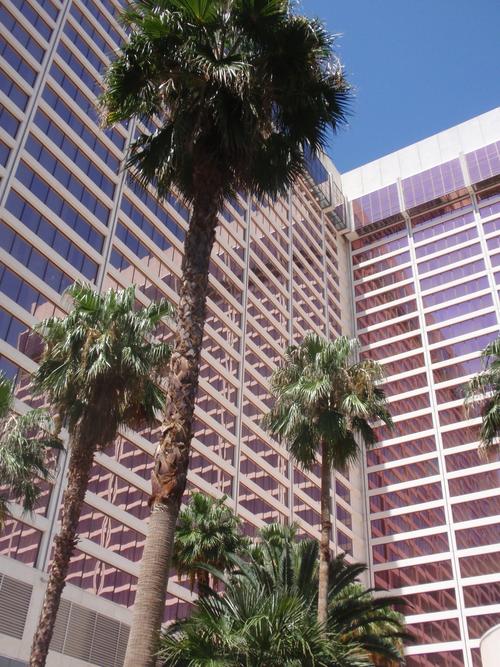 拉斯维加斯火烈鸟酒店