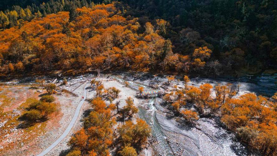 11月份去哪里自驾游好