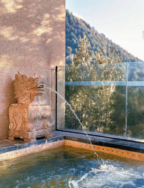 海湾半山温泉酒店地址