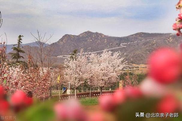 2025北京周边自驾游