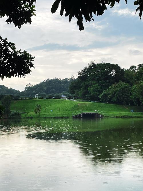 大夫山森林公园的景点特色