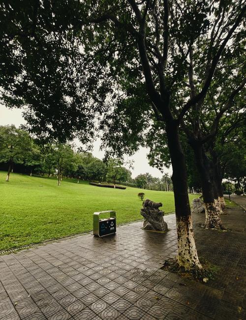 大夫山森林公园的景点特色