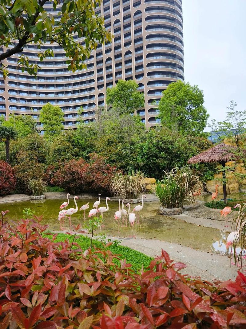 松江阳光绿洲生态酒店