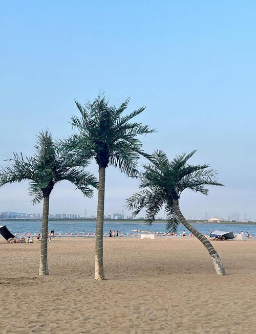 宁波附近海边旅游景点排行