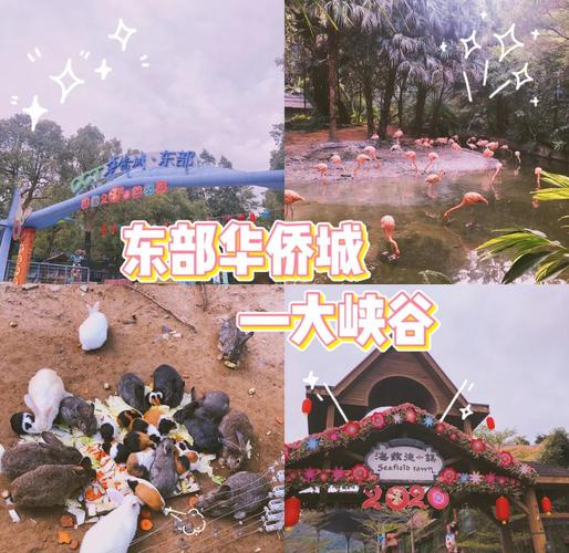 东部华侨城大峡谷景点介绍