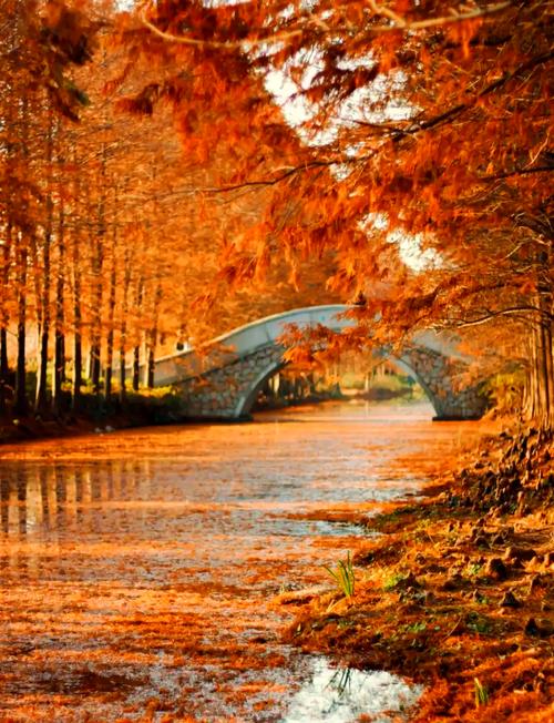 苏州适合冬天去的旅游景点