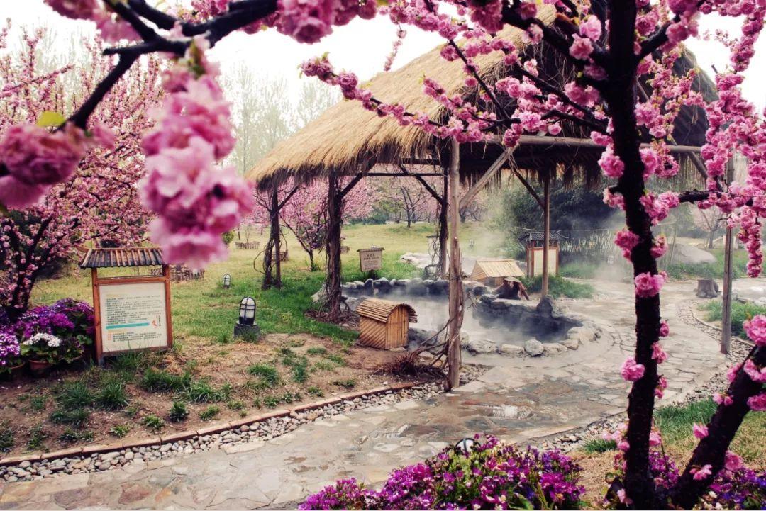 茗汤温泉度假村 自驾游