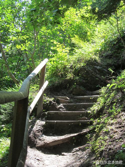 南岭国家森林公园自驾游