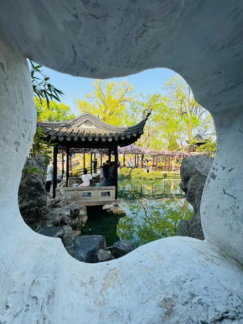 苏州留园附近还有什么景点