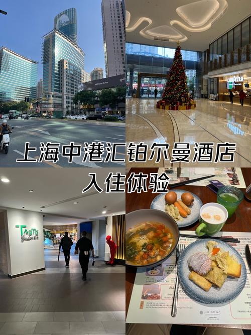 上海铂尔曼酒店几星级