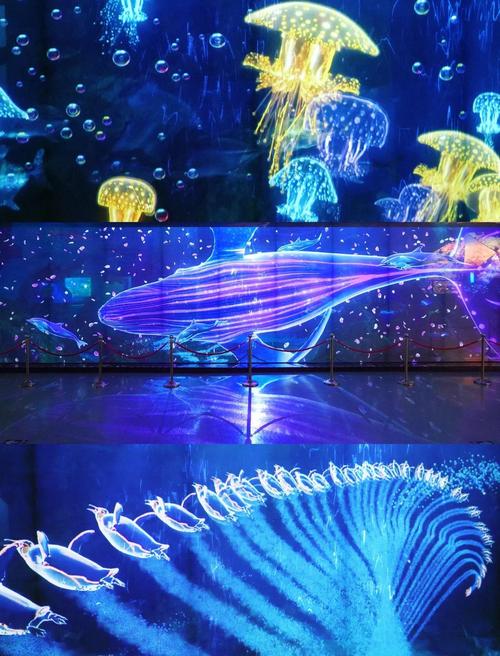 海昌极地海洋世界自驾游