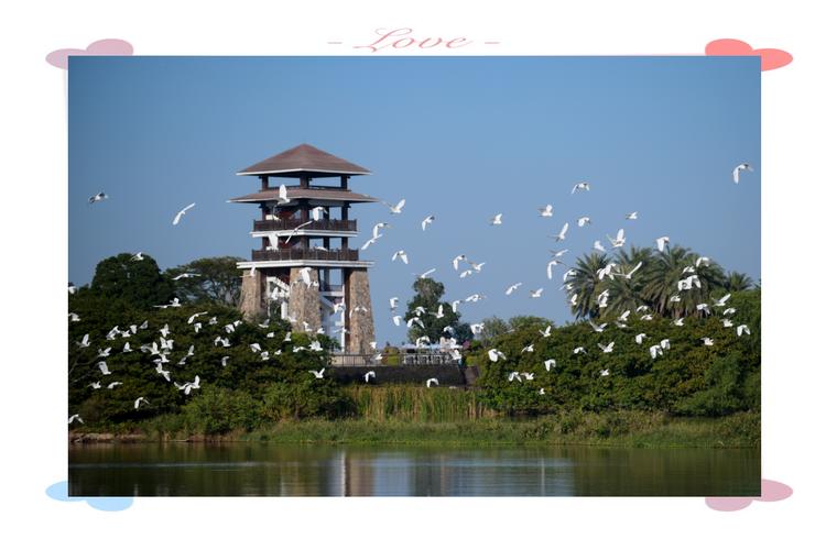 南沙湿地景区旅游景点推荐