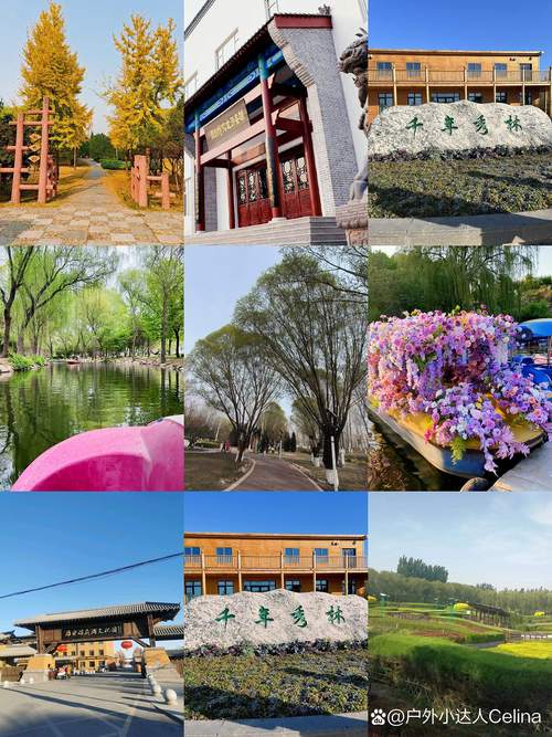 保定有什么旅游的景点推荐