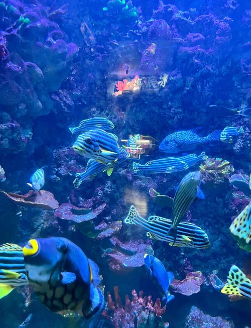 自驾游青岛极地海洋世界