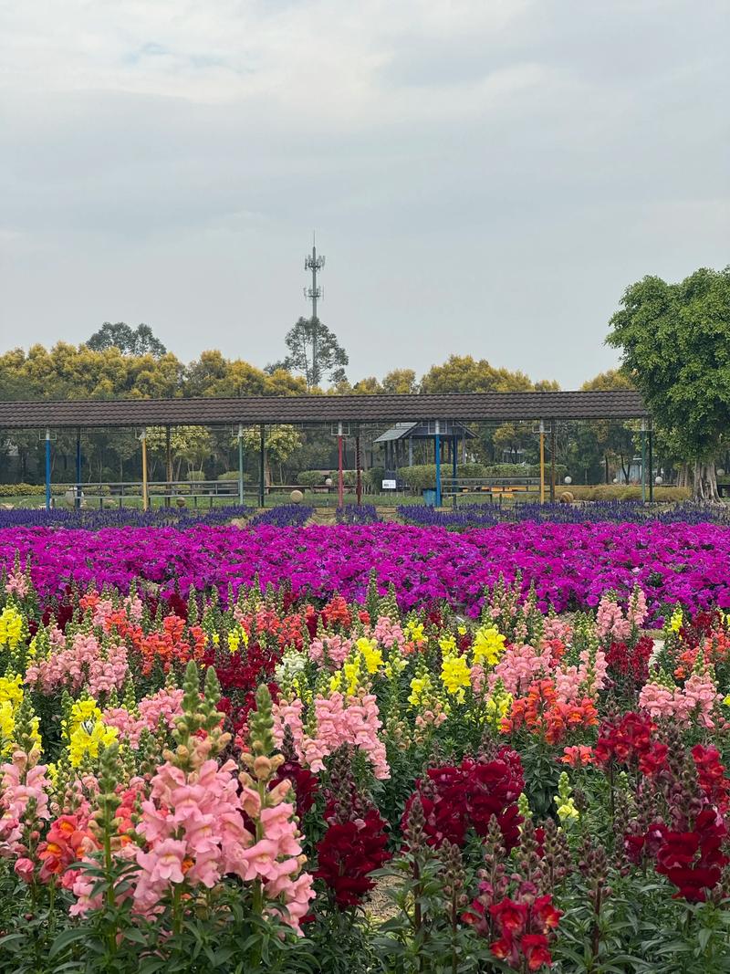 广州花都旅游景点大全排名