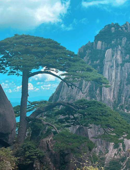 黄山周边旅游攻略景点必去