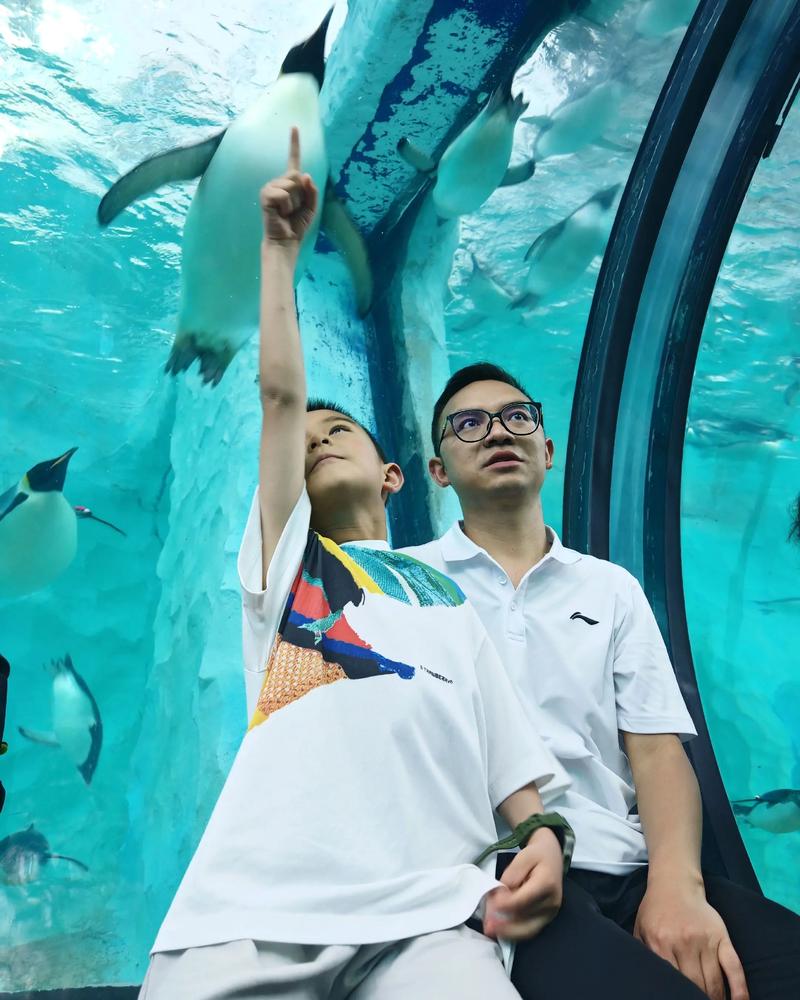 珠海长隆企鹅酒店价格