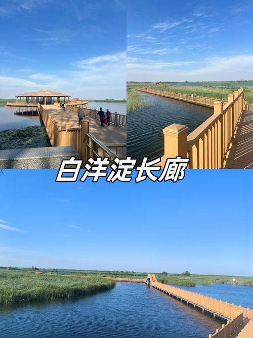 北京到白洋淀自驾游攻略