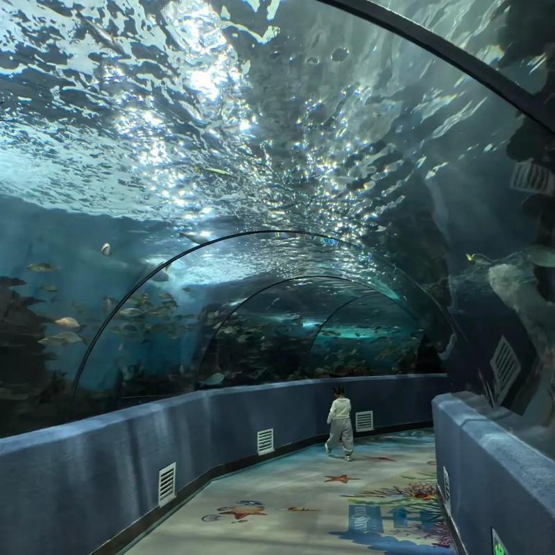 合肥海洋世界附近酒店