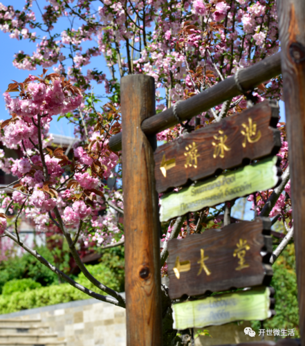 旅顺开世温泉度假酒店