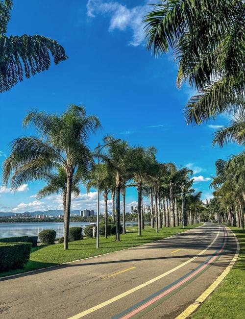 云南弥勒有什么好玩的景点