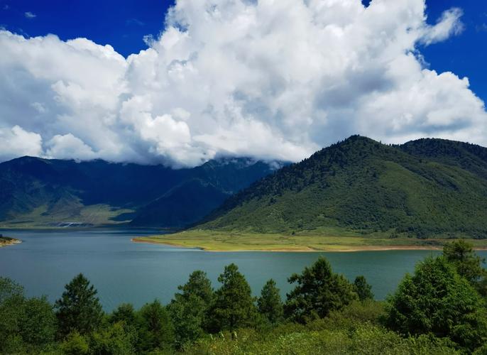 冶勒自然保护区自驾游