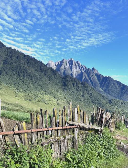 冶勒自然保护区自驾游