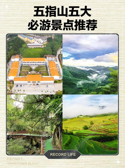 五指山自驾游注意事项