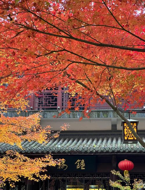 南京秋天旅游攻略景点必去