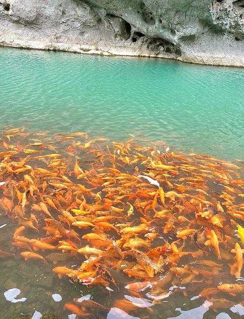 温州楠溪江一日游必去景点