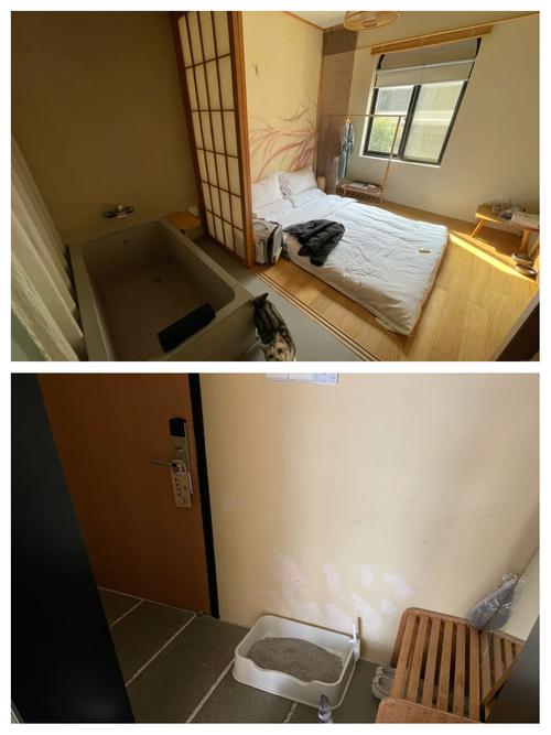 上海可以带宠物的酒店