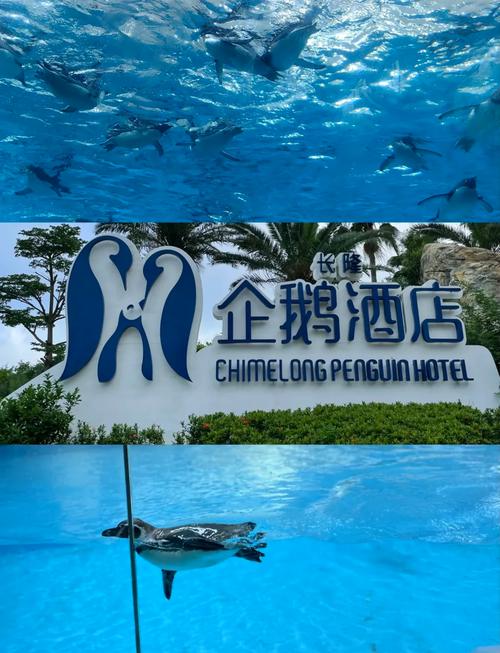 珠海长隆企鹅酒店攻略