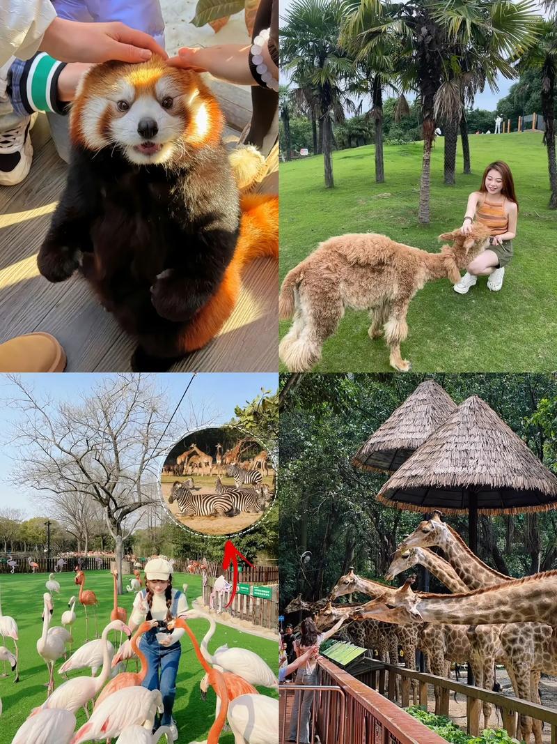 常州野生动物园自驾游