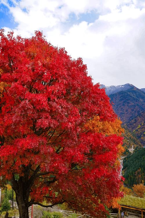 四川红色旅游景点有哪些